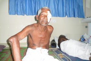 KWS(UK)-VanniCataract2016 (1)